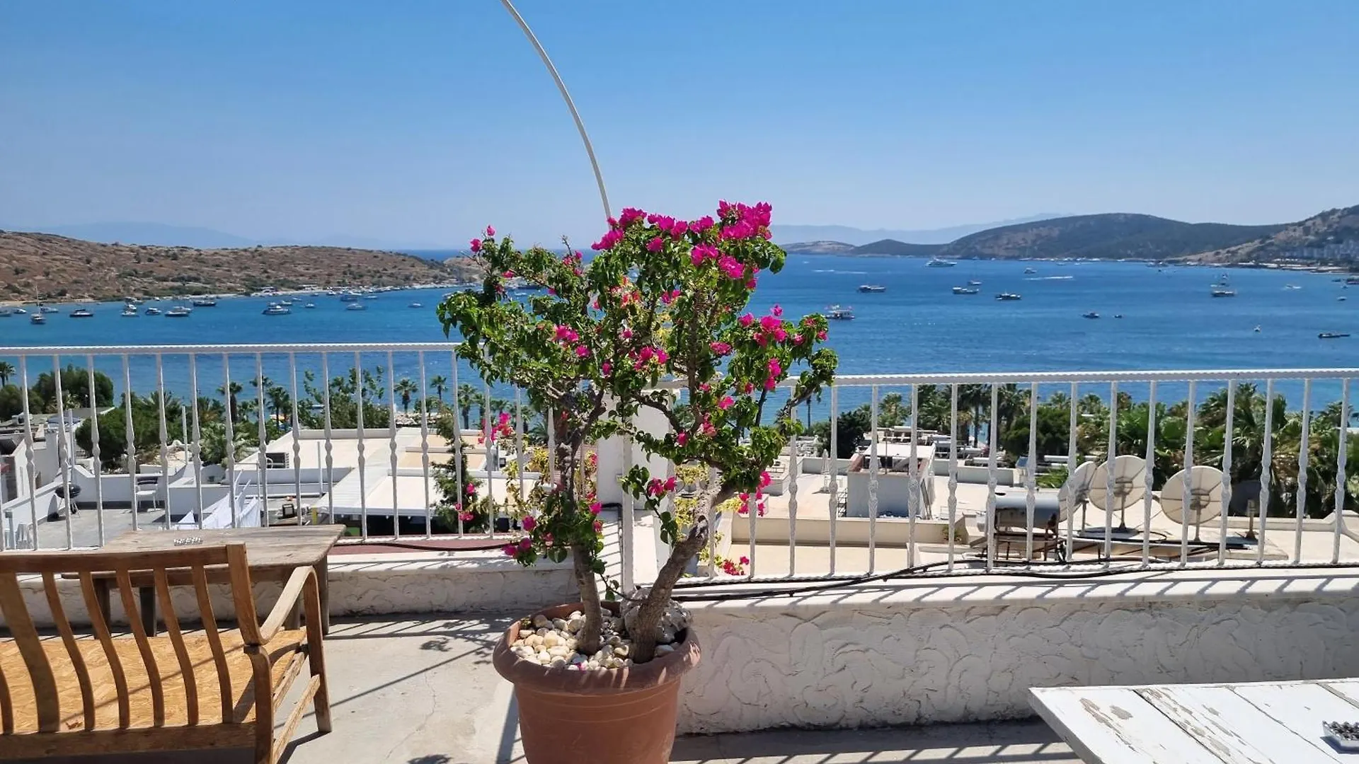 Berg Pansiyon Bodrum 0*,